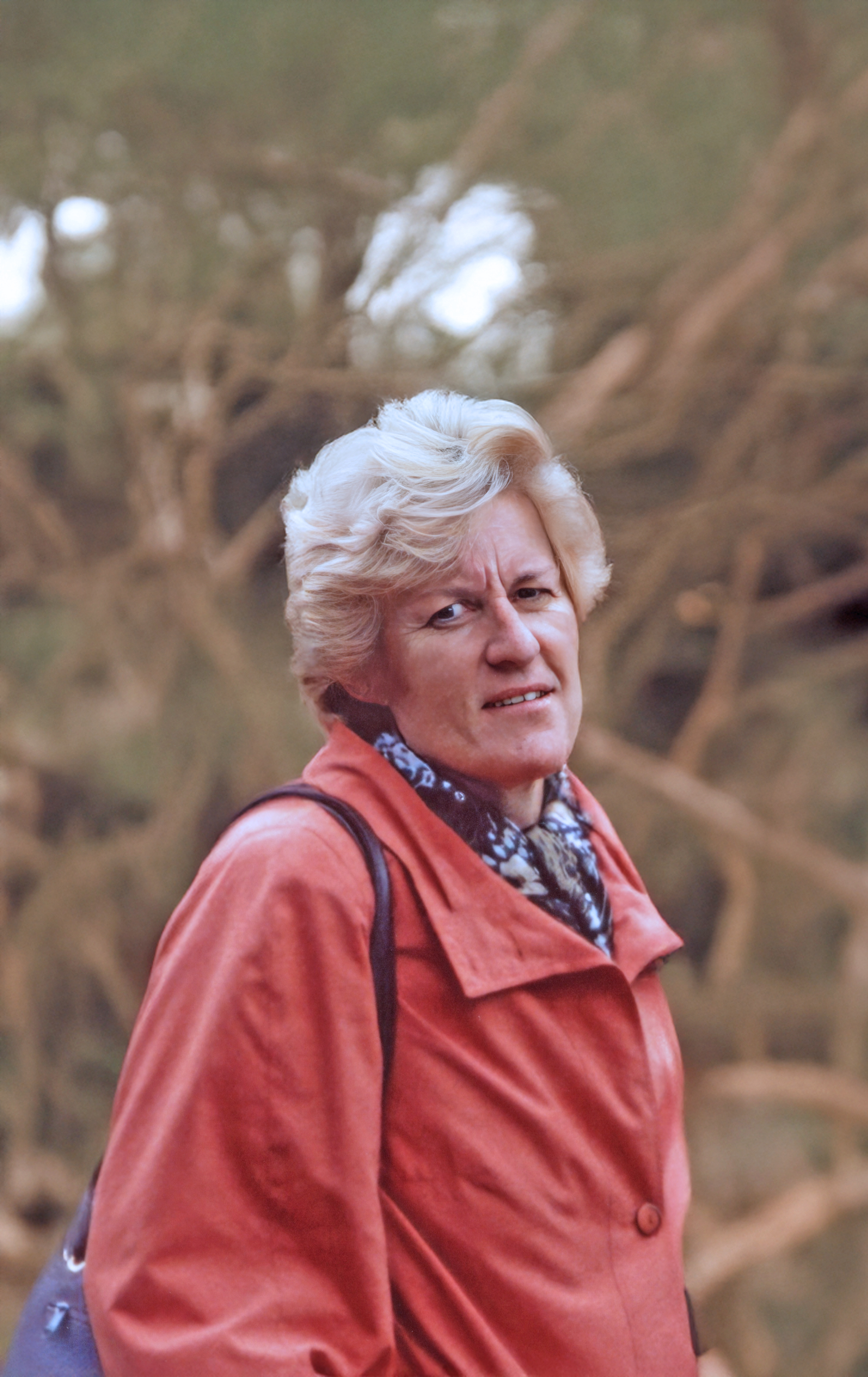 Bild von Annemarie Bachinger